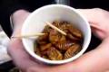 Tasting Bundigie or Silk Worm Lava
